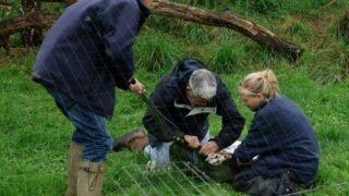 Trending Sex Education Strategy Worldwide