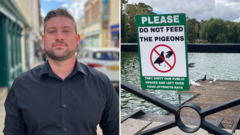 Living with Pigeons: Community Challenges and Compassion in Diss’s High Street